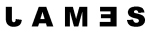 [Illustration: The
word J A M E S appears here with the “J”, “E”, and “S” printed backwards]