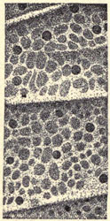Illustration: