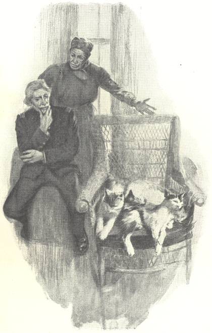 &ldquo;&lsquo;Look at that pile of cats in your
chair&rsquo;&rdquo;