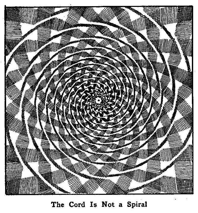 The Cord Is Not a Spiral