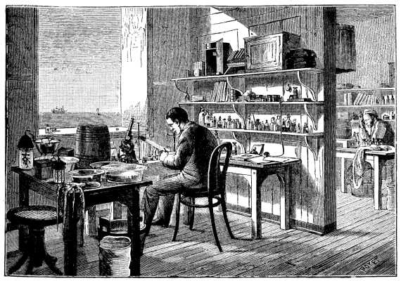  FIG. 2.&mdash;INTERIOR OF ONE OF THE STALLS FOR STUDY.