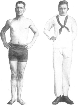 FIG. 4.&mdash;HIPS FIRM