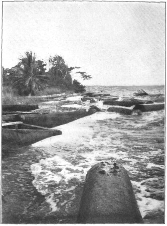 There, in the Surf, We Found These Tons of Mahogany,
Pounding Against Each Other.