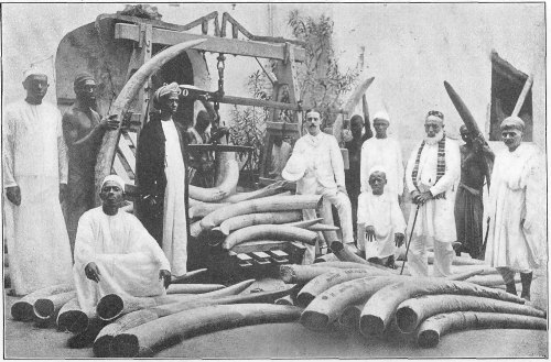 The Ivory on the Right, Covered Only with Sacking, Is
Ready for Shipment to Boston, U.S.A.