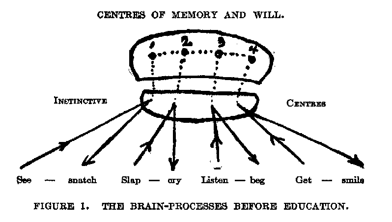 FIGURE 1. THE BRAIN-PROCESSES BEFORE EDUCATION. FIGURE 1. THE BRAIN-PROCESSES BEFORE EDUCATION.