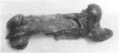 Fig. 46&mdash;Oblique fracture of the femur of a 1,500
six-year-old draft horse. Showing shortening of bone, owing to a lateral
approximation of the diaphysis because of muscular contraction. Photo by
Dr. Edward Merillat.