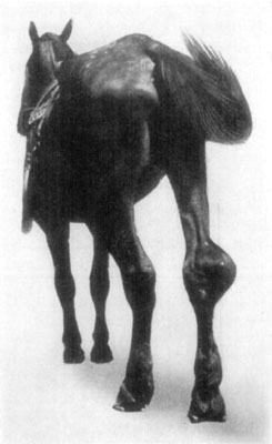 Fig. 59&mdash;Another view of same case as illustrated in Fig.
58.
