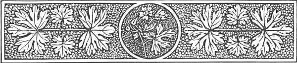 decorative