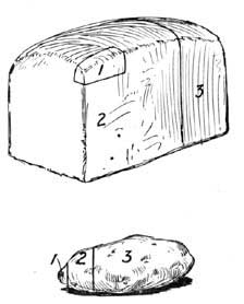 FIG. 36.&mdash;Diagram of the composition of a loaf of bread and of a potato: 1. ash; 2, food; 3, water.