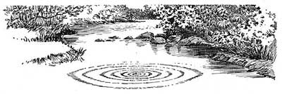 FIG. 90.&mdash;Waves formed by a pebble.