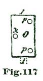 Fig. 117 Fig. 117