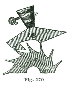 Fig. 170 Fig. 170