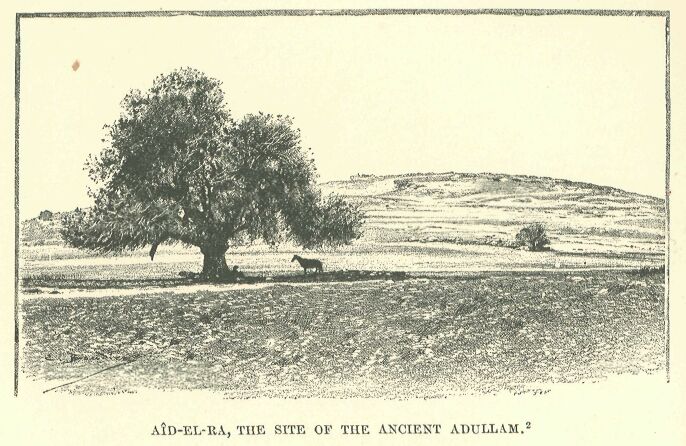 324.jpg A�d-el-ra, the Site of The Ancient Adullam 