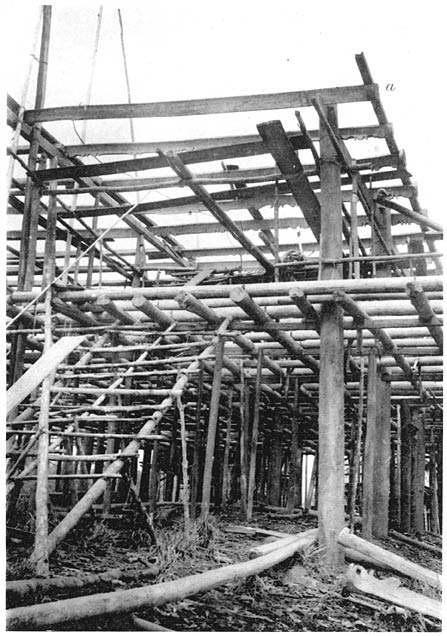 Ger&uuml;st von Kwing Irangs Haus.