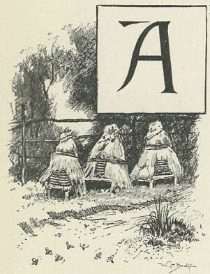 185.jpg Illustrated Capital 