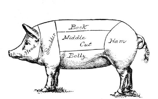Fig. 3.&mdash;Diagram of cuts of pork.