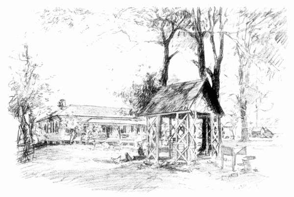 I was never so conscious, as at the time of our visit to the Burge plantation, of the superlative soft sweetness
of the spring
