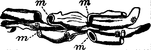 Illustration:
Fig. 2. 