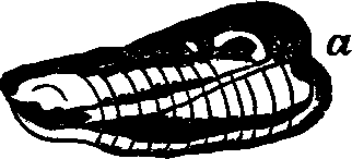 Illustration:
Fig. 3.