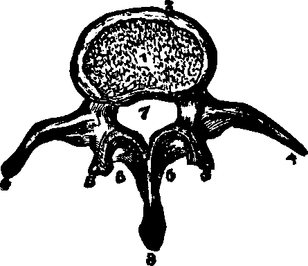 Illustration:
Fig. 13.