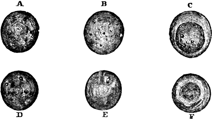 Illustration:
Fig. 39. Development of human lymph and chyle-corpuscles into red
corpuscles of blood. 