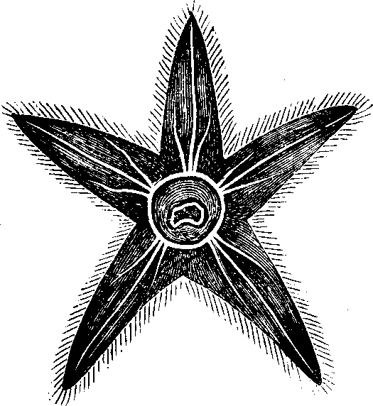 Illustration:
Fig. 66.