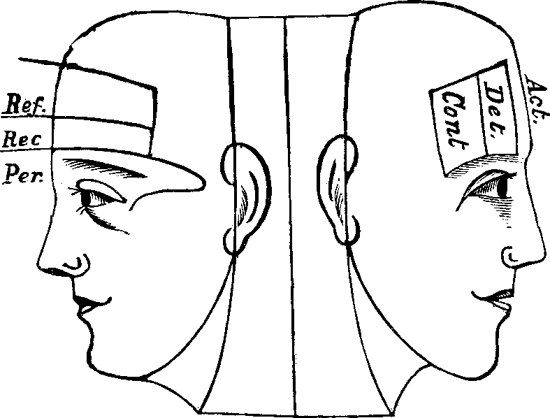 Illustration:
Fig. 71.