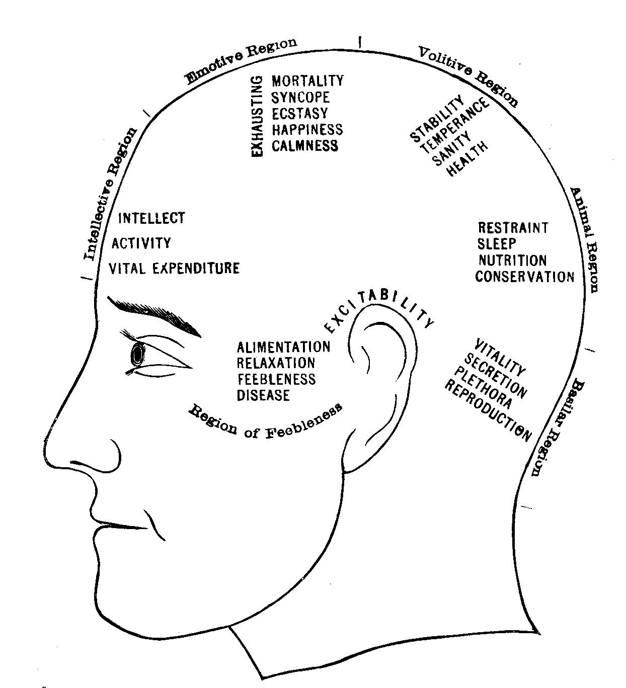 Illustration:
Fig. 72.