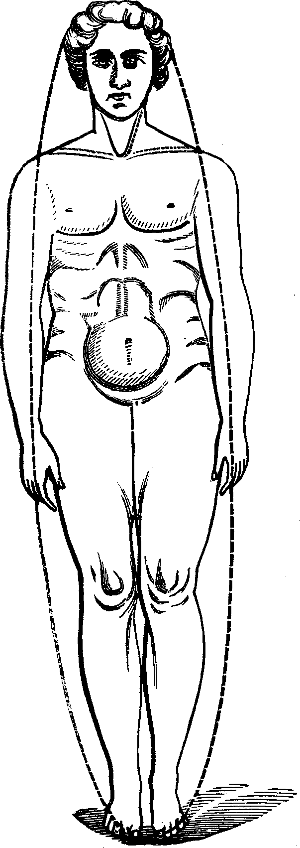 Illustration:
Fig. 100. Male