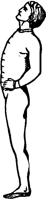 Illustration:
Fig. 104.