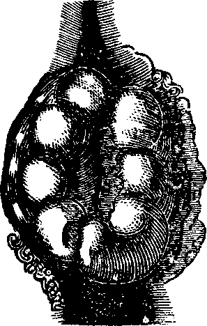 Illustration:
Fig. 1. Swollen External Piles.