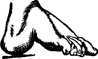 Illustration:
Fig. 16.