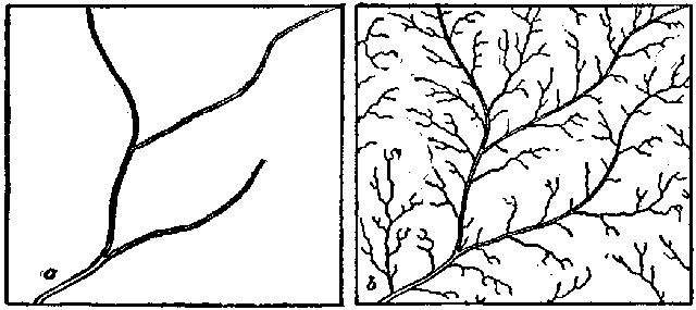 Fig. 10.&mdash;Showing the diverse action of rain on wooded
and cleared fields, a, wooded area; b, tilled ground.