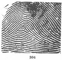 Fig. 304