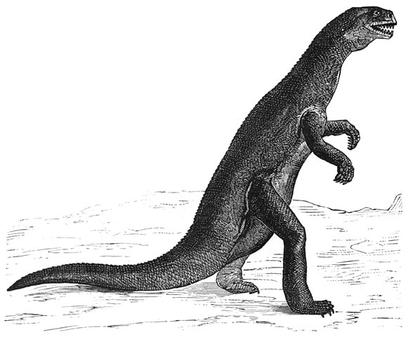 Fig. 207. De zanglodon, dinosauri&euml;r der triasperiode (Europa).