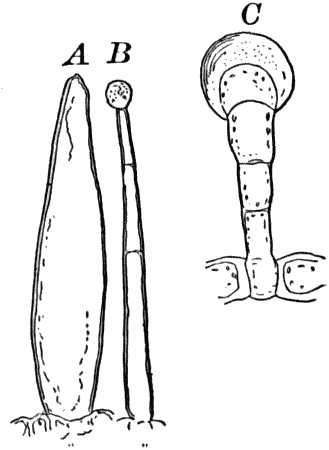 Fig.&nbsp;3.