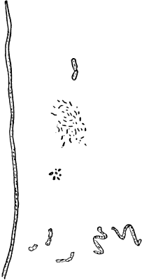 Fig.&nbsp;8.
