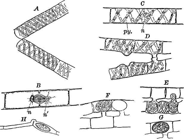 Fig.&nbsp;18.