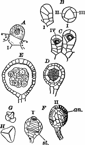 Fig.&nbsp;69.