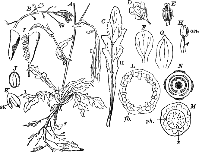 Fig.&nbsp;93.