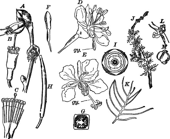 Fig.&nbsp;113.