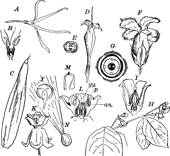 Fig.&nbsp;122.