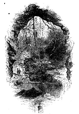 ENTRANCE TO THE CAVE.&mdash;VIEW TAKEN FROM THE INSIDE.
