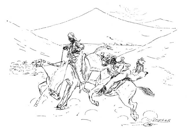 The Big Wild Mustang Hunt&mdash;We Were Roping and Riding Them
in Fox Canyon