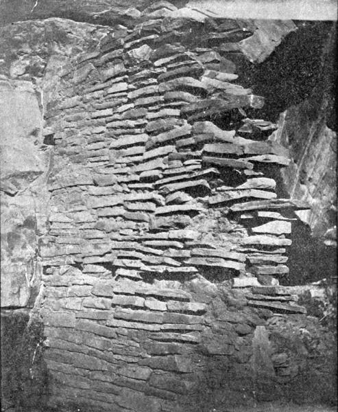 Fig. 250&mdash;Structure of wall of Honanki