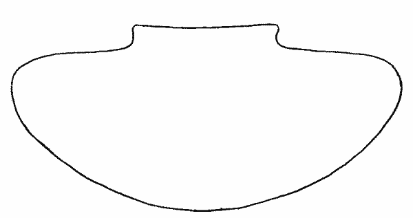 Fig. 270&mdash;Outline of plate CXXXV, b