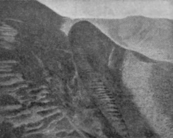 Fig. 50. A steep bit of hill cultivation, Haz&aacute;ra.