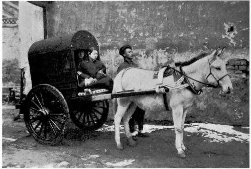 A Peking cart
