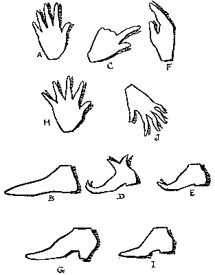 Fig. 144&mdash;Hands and feet.