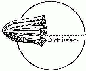 Fig. 242&mdash;Make the bud of a circle.
